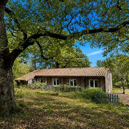 La Petite Ferme Des Etoiles Mauroux (Gers)